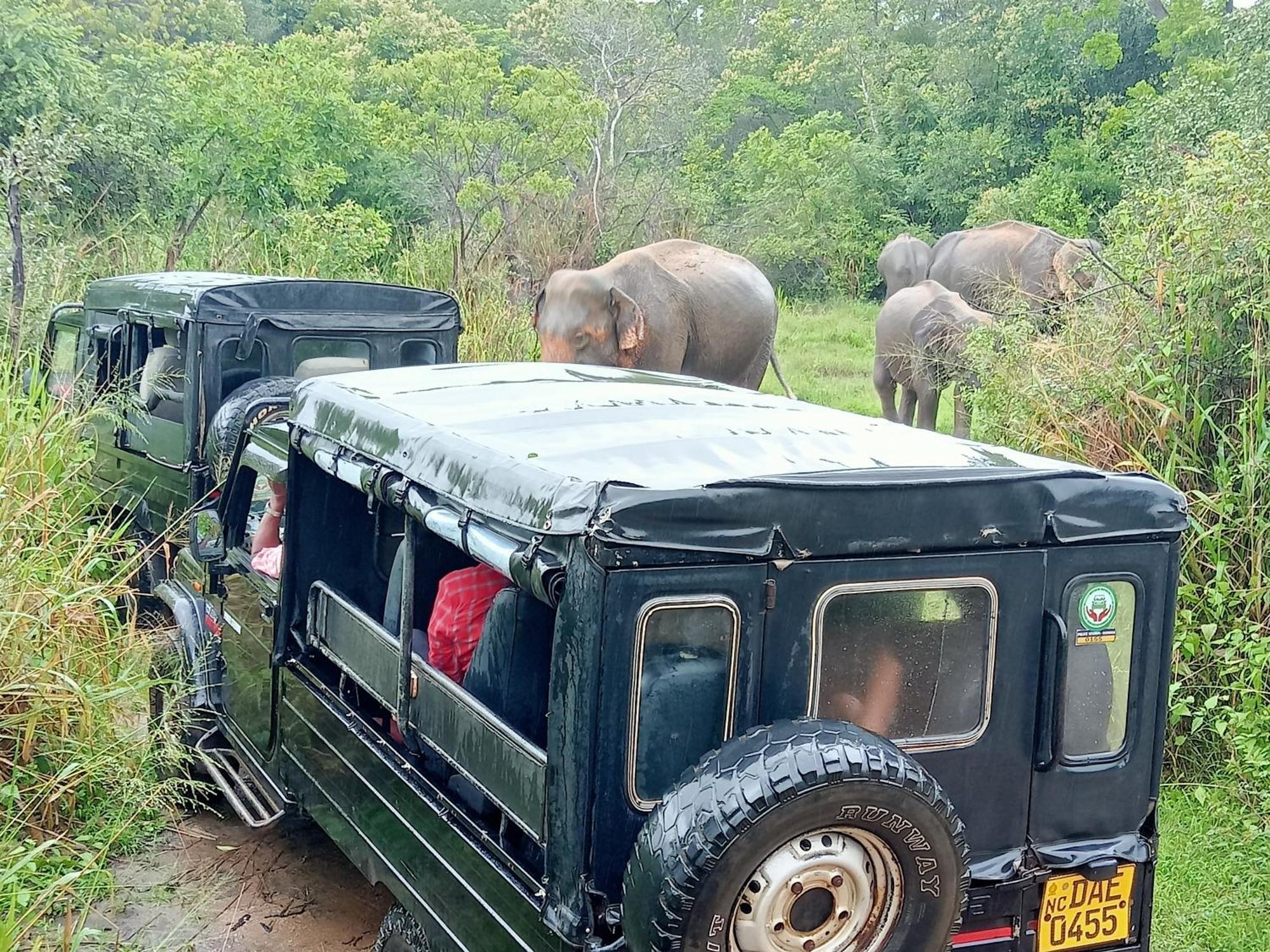 Kithmi Resort Polonnaruwa Luaran gambar