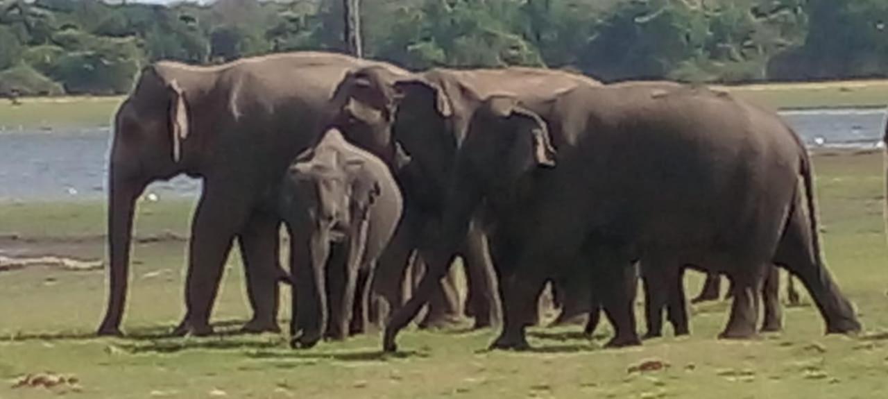 Kithmi Resort Polonnaruwa Luaran gambar