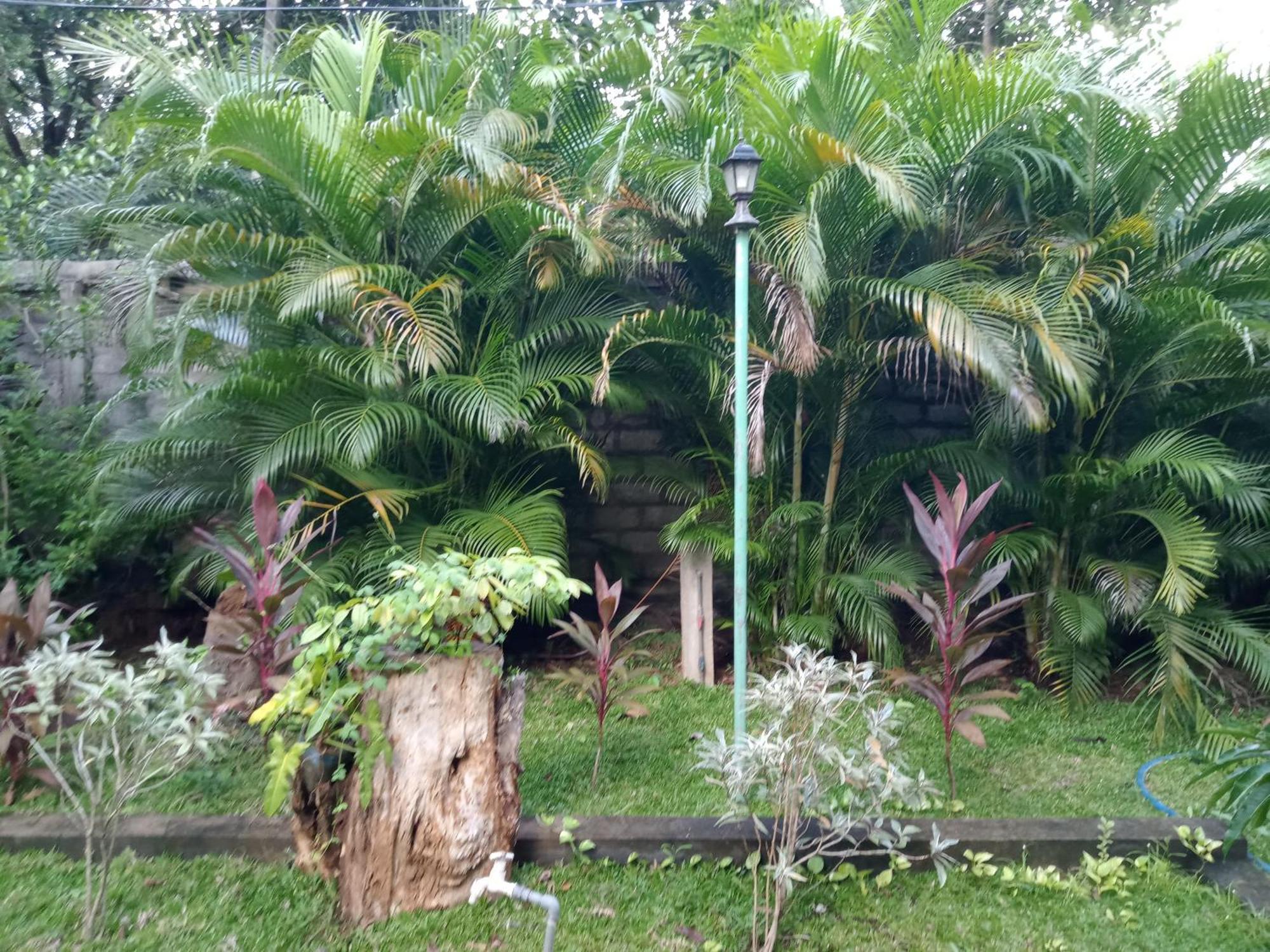 Kithmi Resort Polonnaruwa Luaran gambar